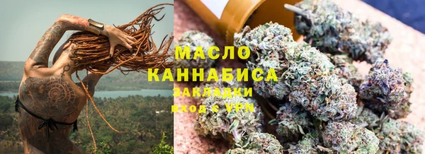 хмурый Алзамай