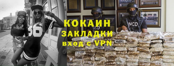 хмурый Алзамай